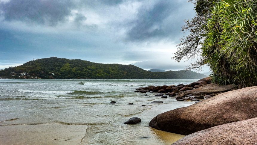Praia da Enseada, em Ubatuba, com águas calmas, faixa de areia e morros cobertos pela Mata Atlântica