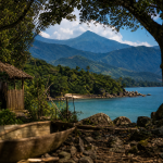 Mata Atlântica na região de Picinguaba, em Ubatuba, área relacionada ao Quilombo da Fazenda