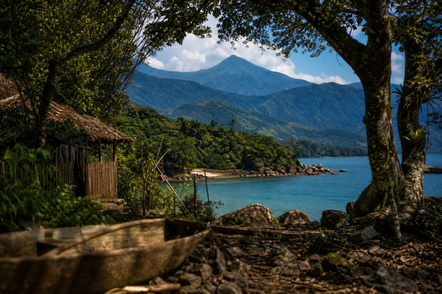 Mata Atlântica na região de Picinguaba, em Ubatuba, área relacionada ao Quilombo da Fazenda