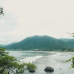 Paisagem litorânea de Ubatuba, com vegetação da Mata Atlântica e praia ao fundo.