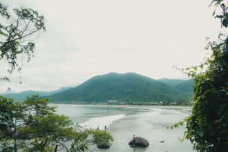 Paisagem litorânea de Ubatuba, com vegetação da Mata Atlântica e praia ao fundo.