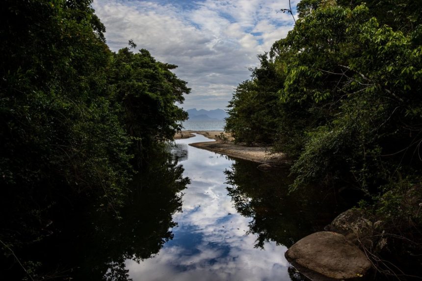 Rio cercado por vegetação exuberante, refletindo o céu nublado em uma paisagem costeira brasileira.